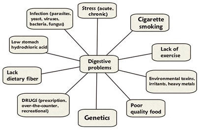 factors that impact the digestive process and can benefit from colon hydrotherapy. 